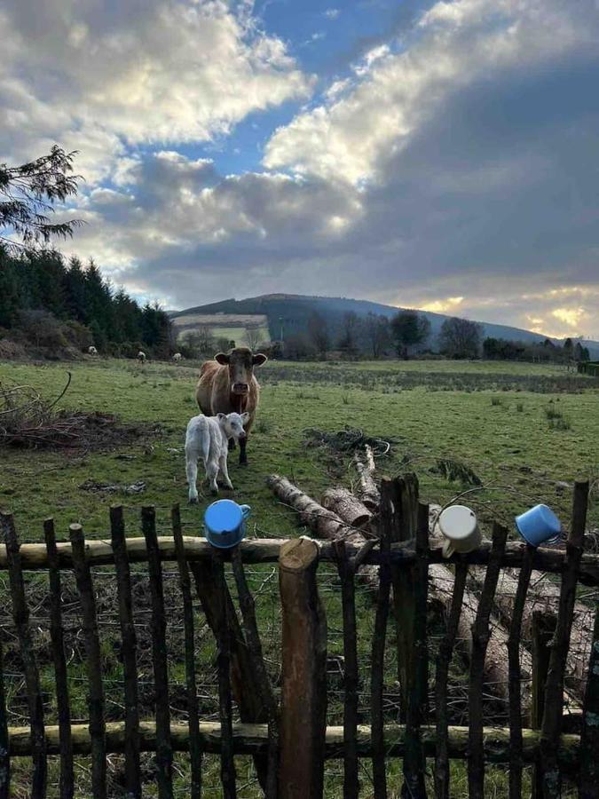 Aughavannagh Yurt Glamping Огрим Екстериор снимка